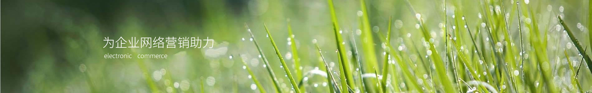 ݴ޹˾